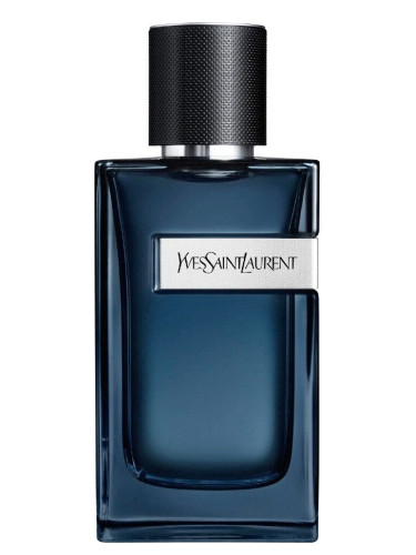 Yves Saint Laurent - Y Intense - M - EDP