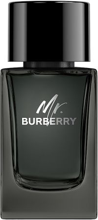 Burberry - Mr. Burberry - M - EDP