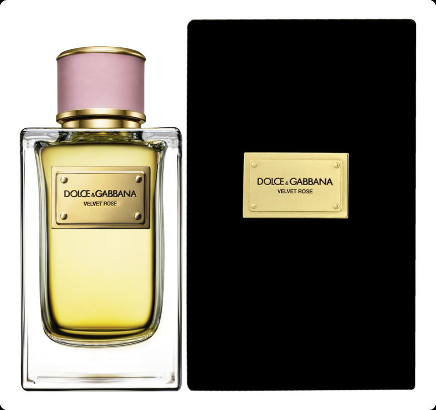 Dolce & Gabbana - Velvet Rose - W - EDP