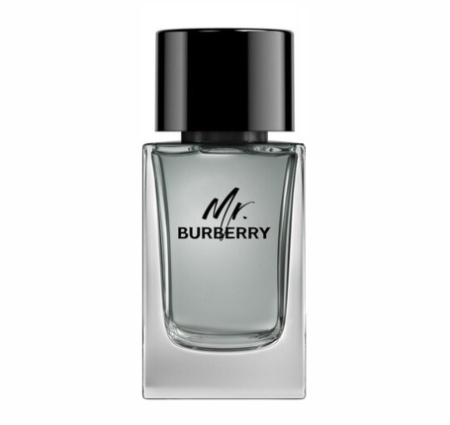 Burberry - Mr. Burberry - M - EDT