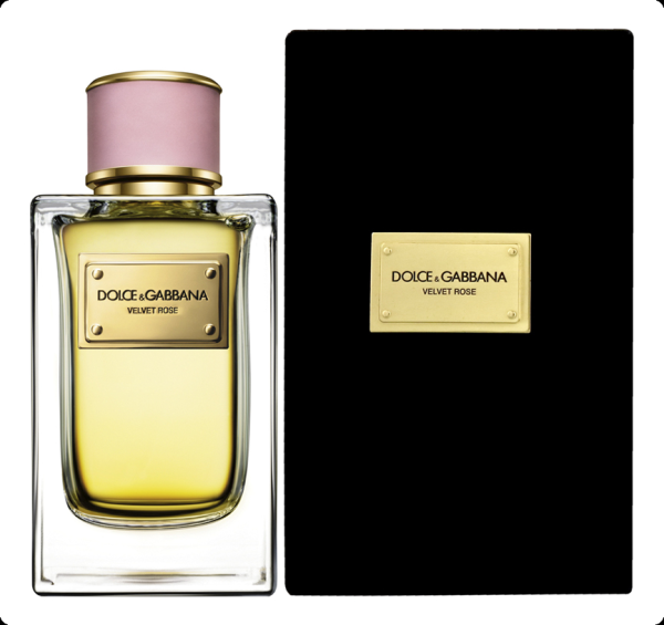 Dolce & Gabbana - Velvet Rose - W - EDP